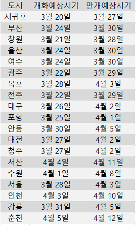 벚꽃개화시기