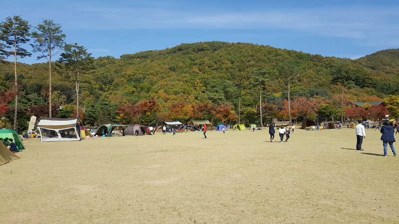  용인 - 부천 버스 시간표 (2020년 7월 1일 기준)