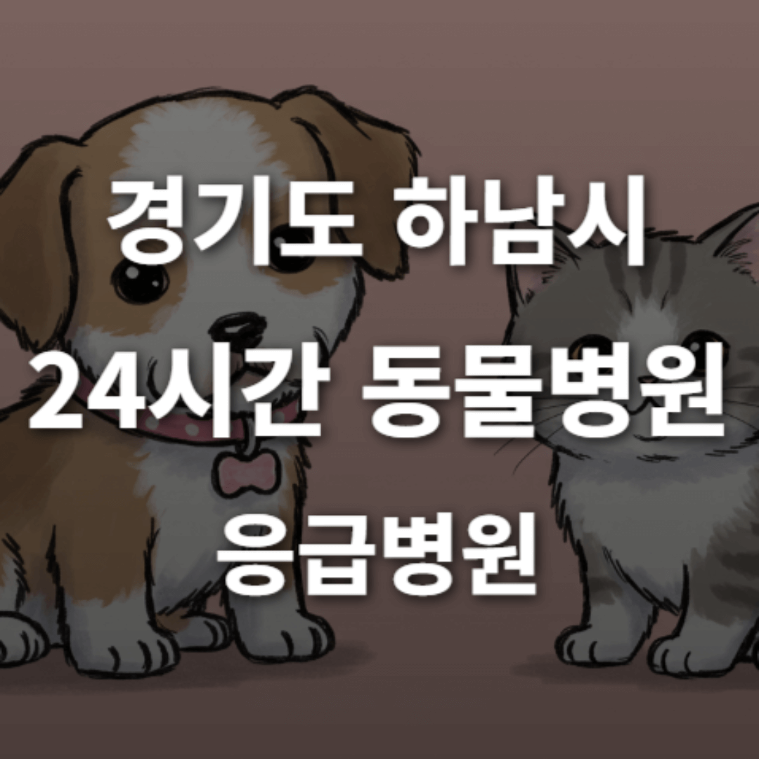 [경기도 하남시 24시간 동물병원(덕풍동, 망월동)] 365일 연중무휴 반려동물 응급상황 대처 가능한 진료소