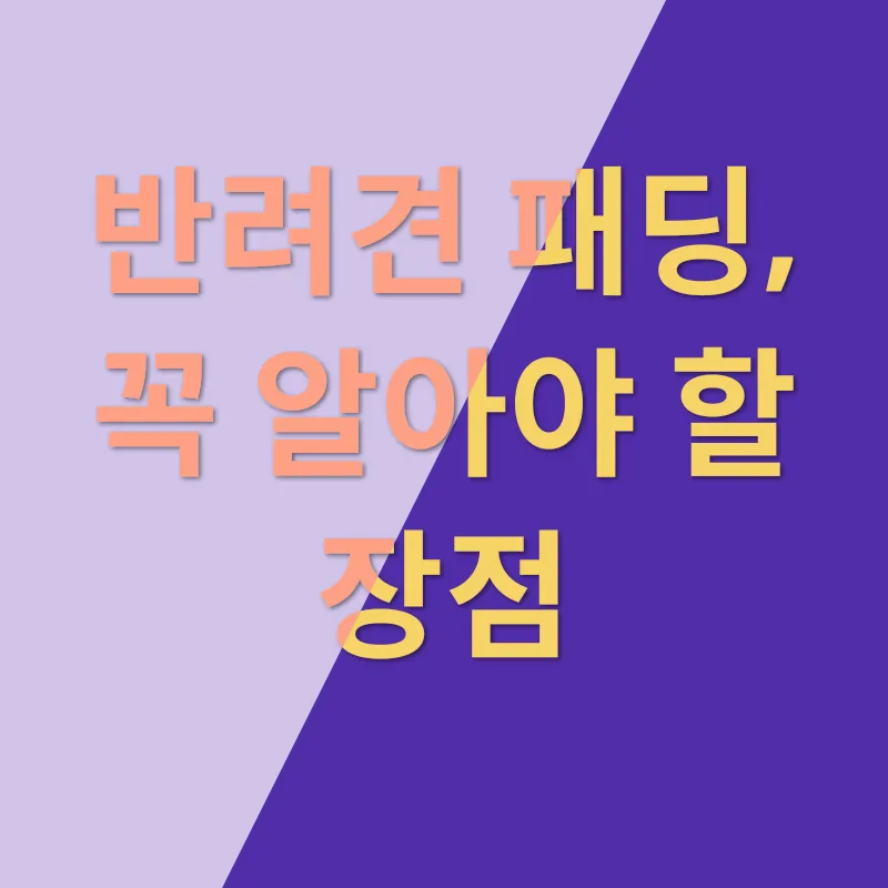 반려견 따뜻한 옷_1
