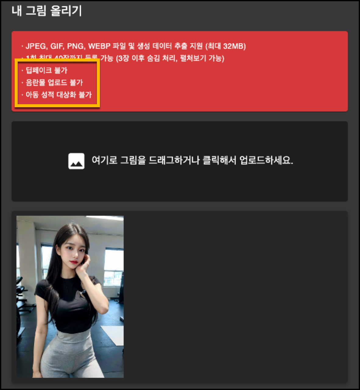 성적 콘텐츠 금지