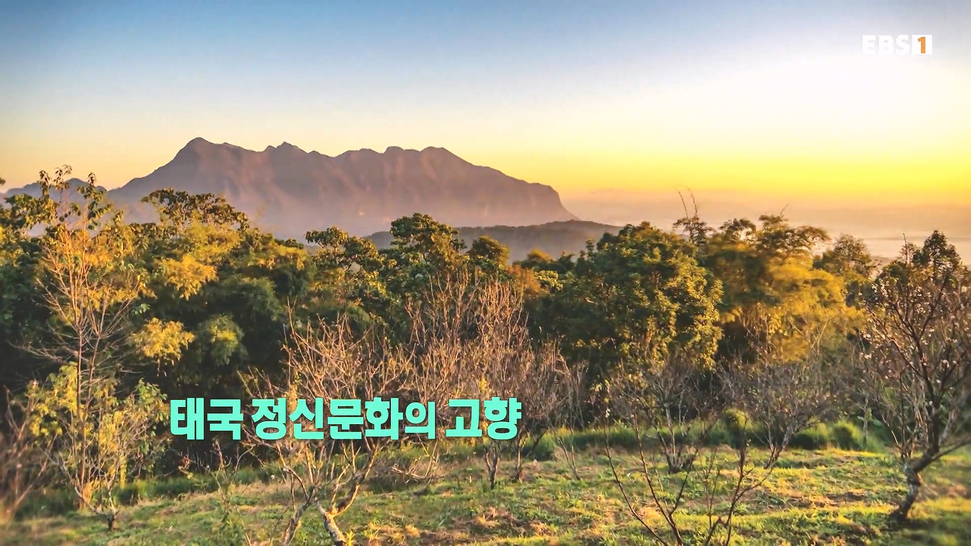 세계테마기행 240219 태국 북부 인생길 기행 -이보다 즐거울 수가!0p.mp4_20240803_162226.884.jpg