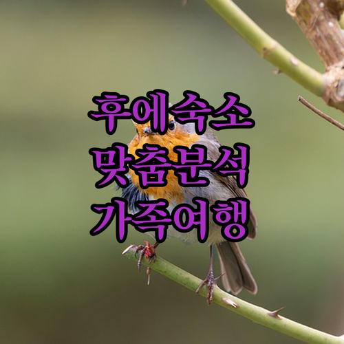후에 여행객을 위한 맞춤형 홈스테이 