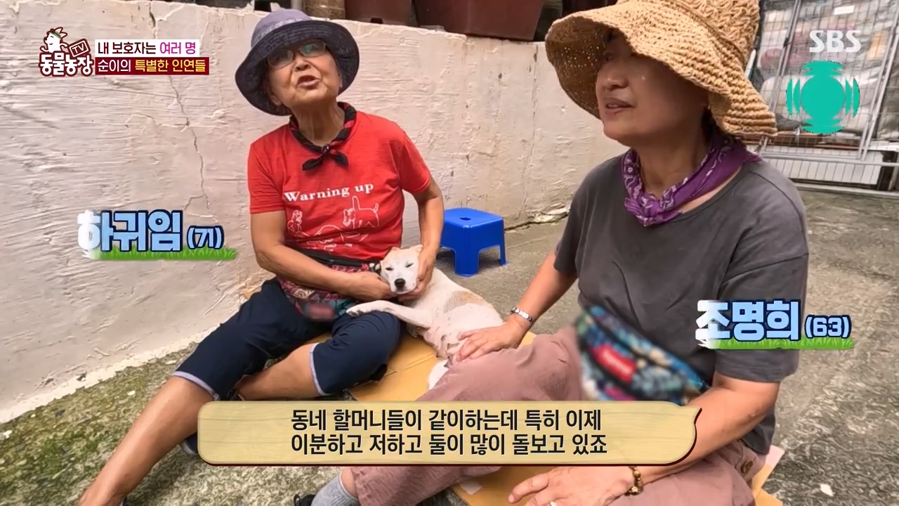 TV 동물농장.E1143.231030p-NEXT.mp4_20231029_162012.595.jpg