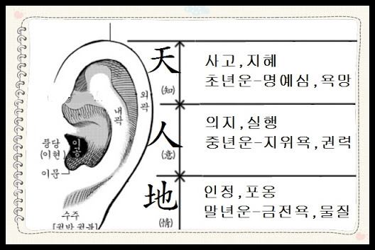 귓볼관상 ( 부처님귀관상 ) 보는법 - 길상 귓볼관상 ( 부처님귀관상 ) 보는법 - 길상