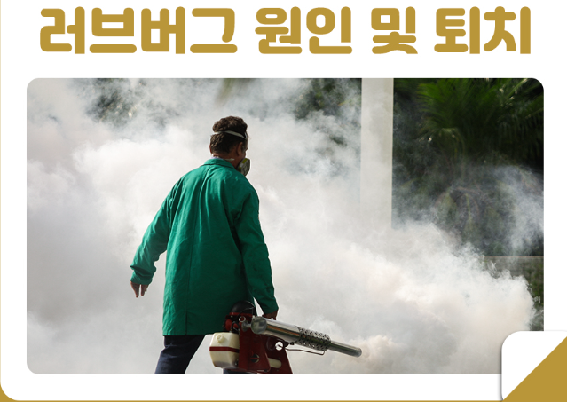  러브버그 원인과 퇴치법 및 방역 해결방법
