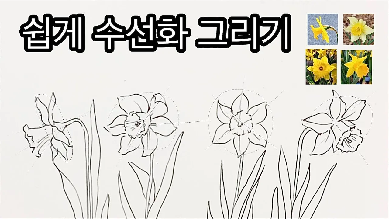 수선화 품종 관리요령_1