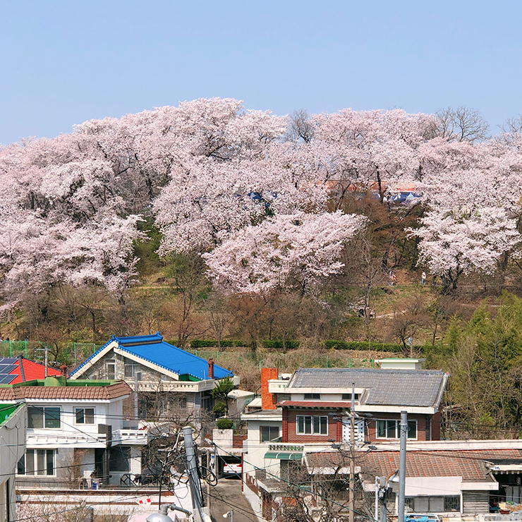 수도산-전경