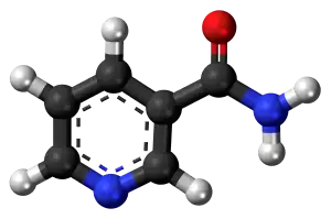 나이아신 아마이드 효능