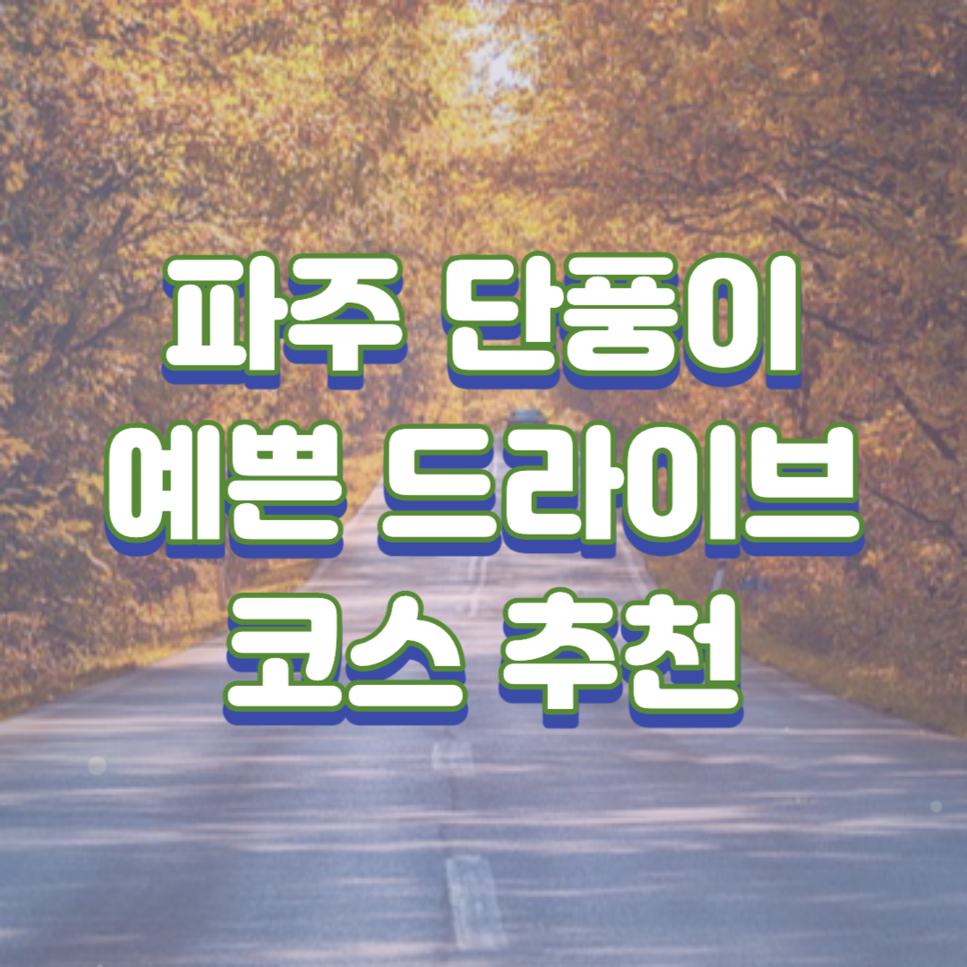  경기북부 서울 인근 파주 단풍이 예쁜 드라이브 코스