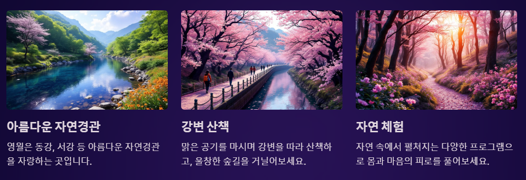 동강리버버깅협동조합 이미지