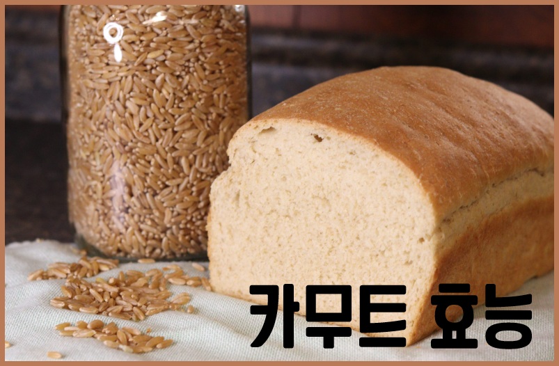 카무트 효능