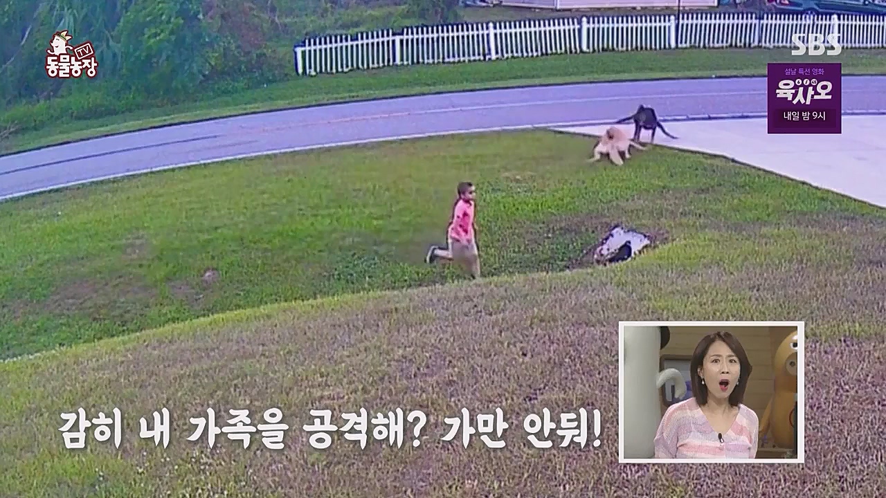 TV 동물농장.E1104.230123p.WANNA.mp4_20230123_195404.663.jpg