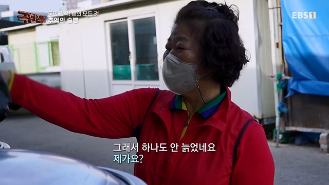 TV - 전 국민의 평생학교 EBS국민 간식! 빵의 모든 것.mp4_20230708_205811.507.jpg