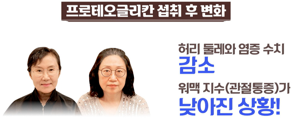 프로테오글리칸 효능