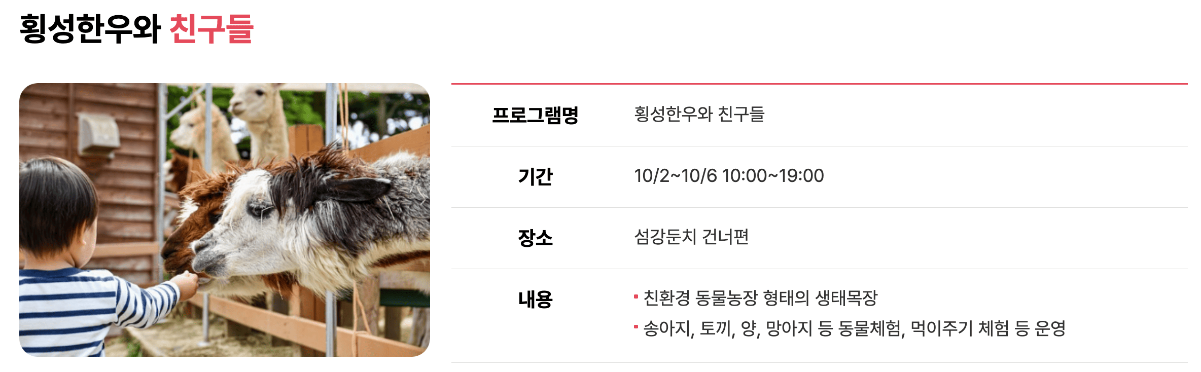 횡성한우축제