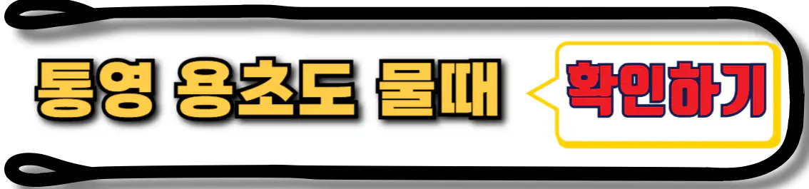 용초도 물때