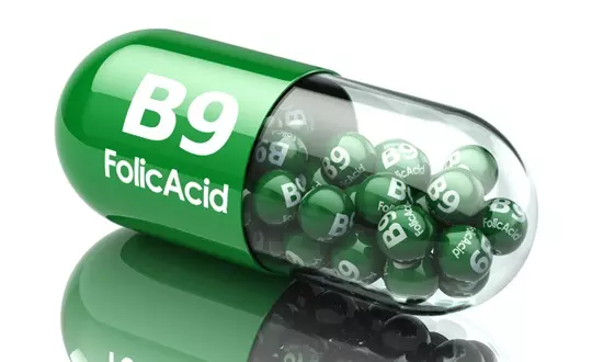 엽산(Folic Acid)_비타민B9의 힘으로 태아의 발달과 성장을 완벽하게!