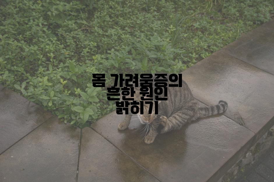 몸 가려움증의 흔한 원인 밝히기
