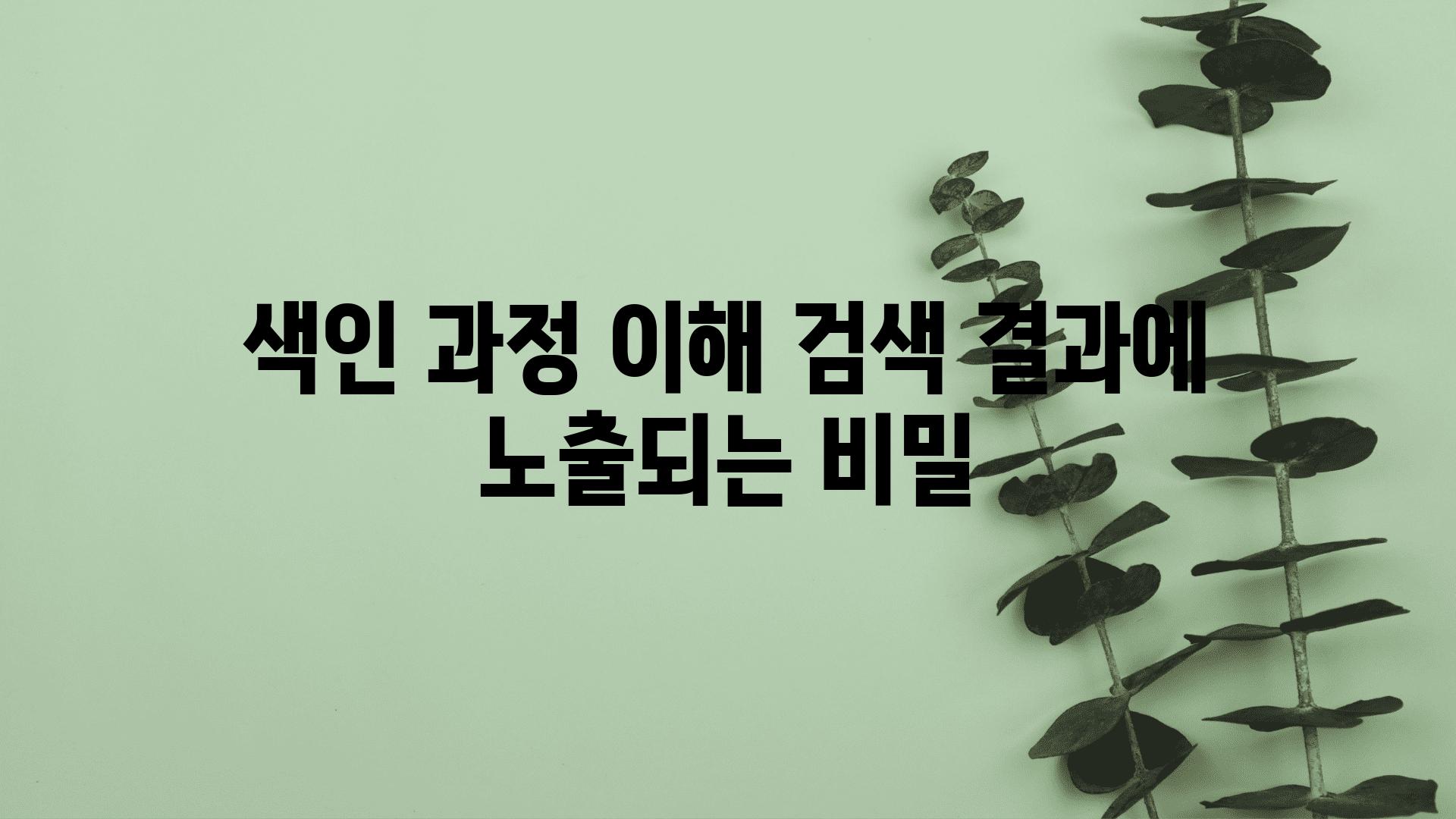 색인 과정 이해 검색 결과에 노출되는 비밀