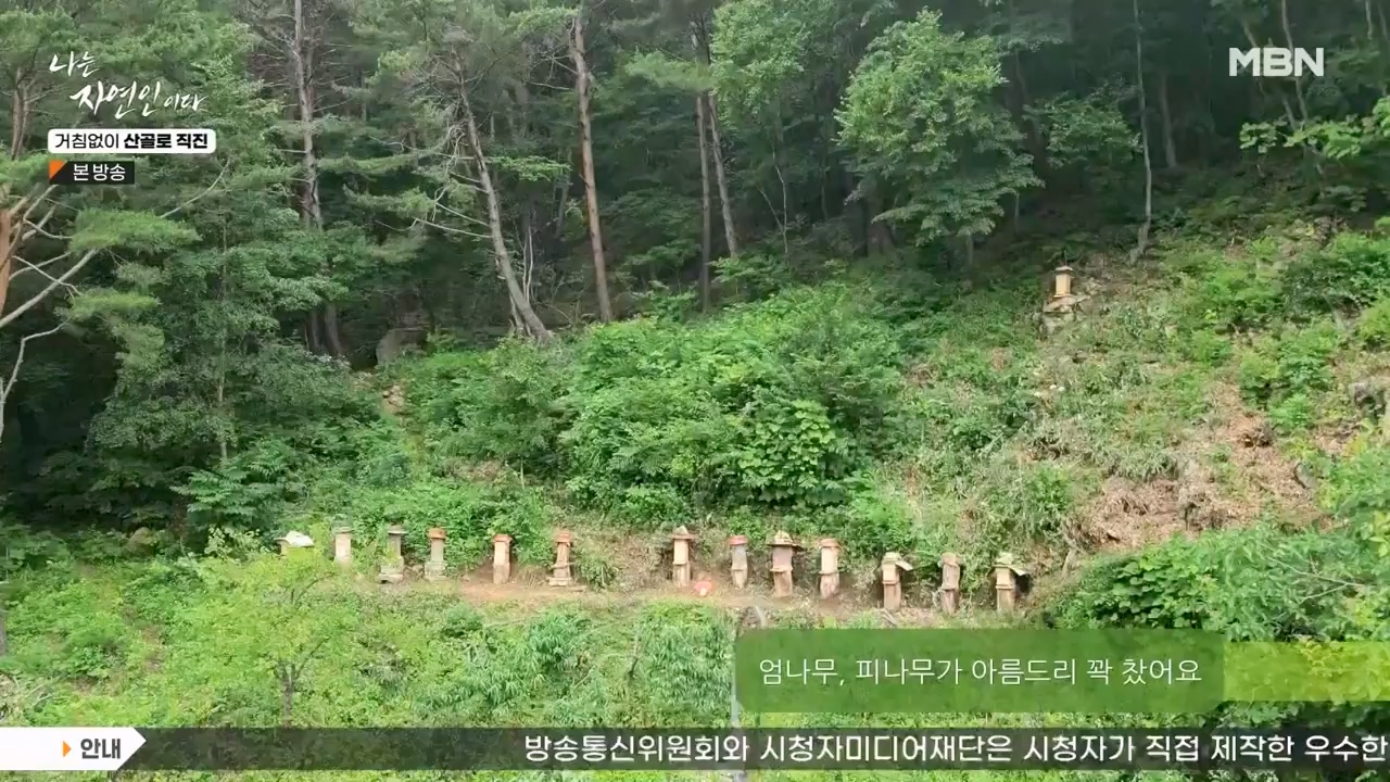 나는 자연인이다.E564.230727p-NEXT.mp4_20230727_211923.063.jpg