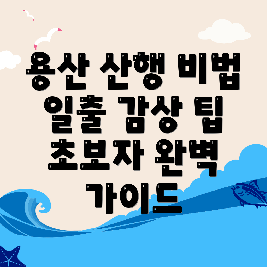 용산구 일출 산행