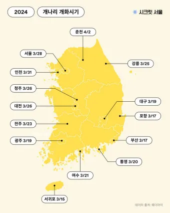 개나리 개화시기 2025 서울 경기 강원 전남 경북 제주_17