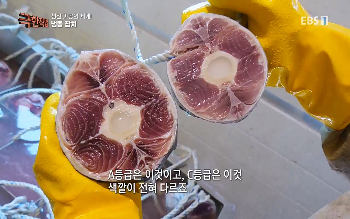 TV - 교육의 중심 EBS생선가공의 세계!-냉동참치, 참치액. 순살생선-.mp4_20220906_200512.522.jpg