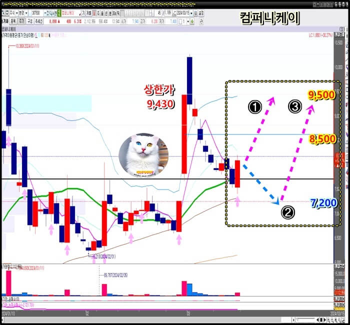 일-봉-차트