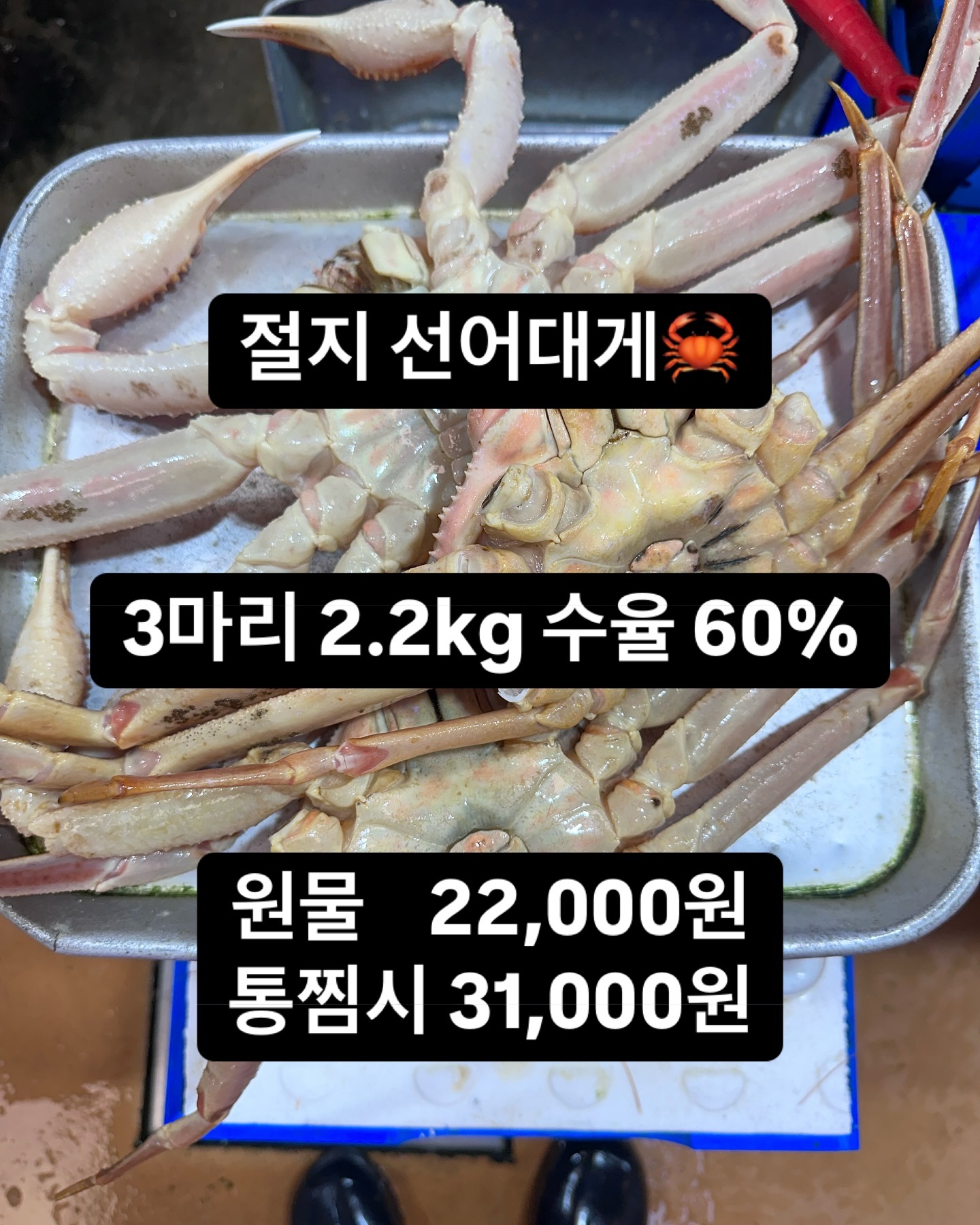 여수상회의 킹크랩