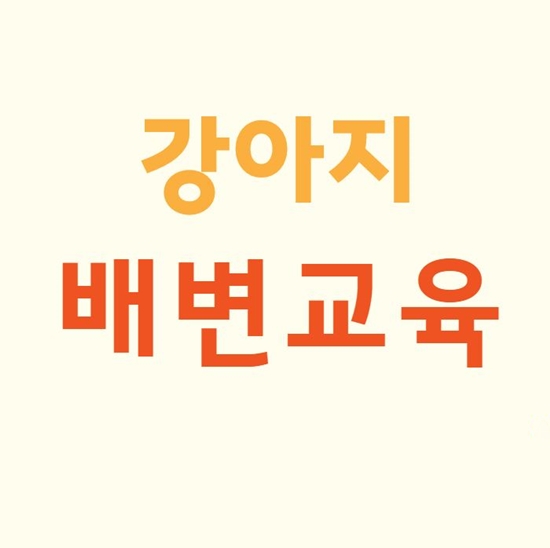  반려견 배변훈련 이렇게 해보세요!