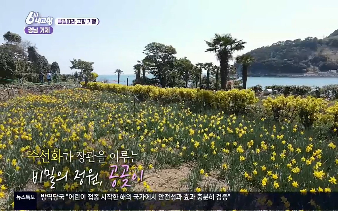 6시 내고향.E7505.220407p.H264-F1RST.mp4_20220411_175422.773.jpg