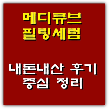 메디큐브 레드 아크네 석시닉애씨드 필링 세럼 내돈내산 정리 :: 바람부는대로