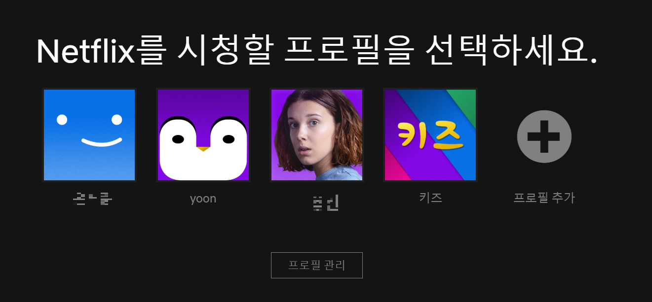  넷플릭스 프로필 잠금으로 나만의 시청정보를
