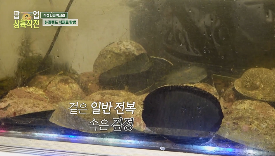 박세리가 너무 사고 싶어했는데 가격 듣고 포기한 음식 재료 가격…jpg | 인스티즈