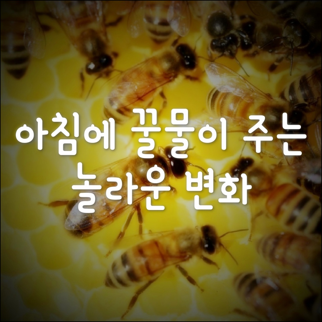 꿀벌-사진-썸네일