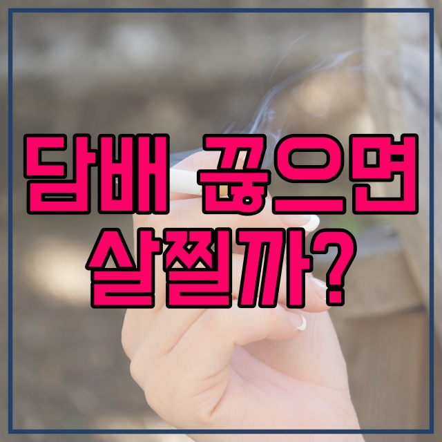  담배 끊으면 살찌는 이유 금연 체중 증가 관계 189