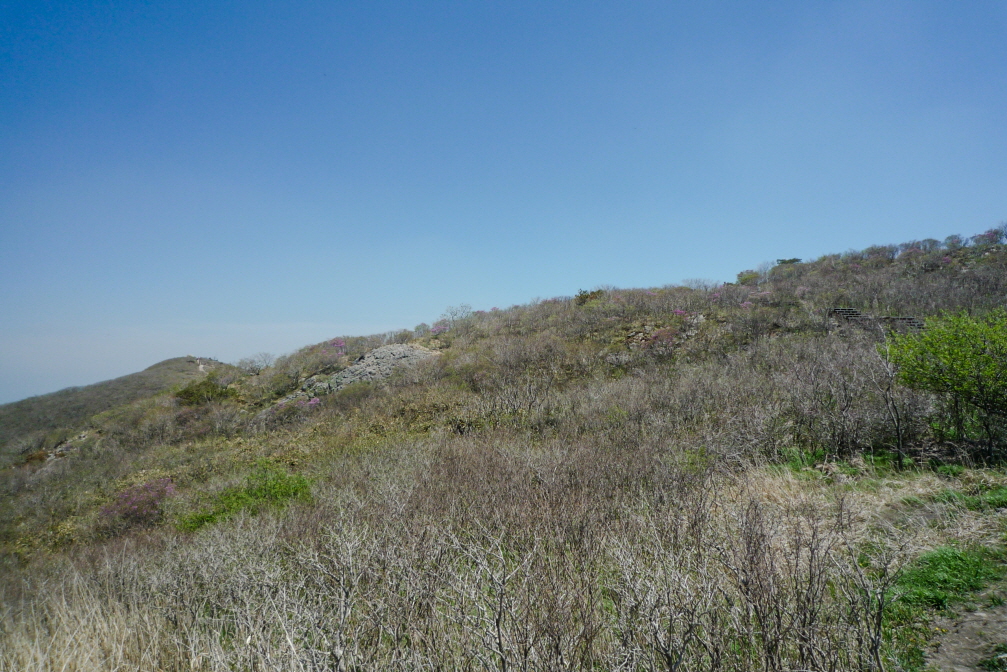 마늘로드 한국 명산 울산 신불산 등산 mountain hiking