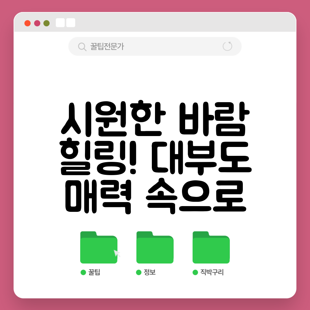 시원한 바람 힐링! 대부도 매력 속으로