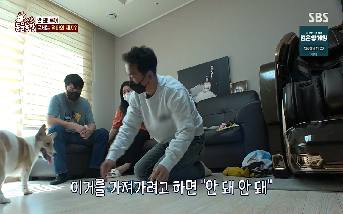 TV 동물농장.E1068.220509p-NEXT.mp4_20220508_173813.562.jpg