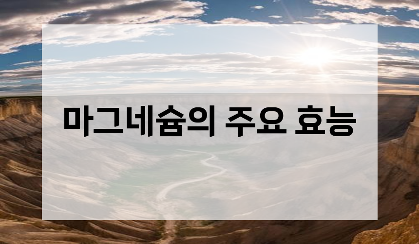 마그네슘의 주요 효능