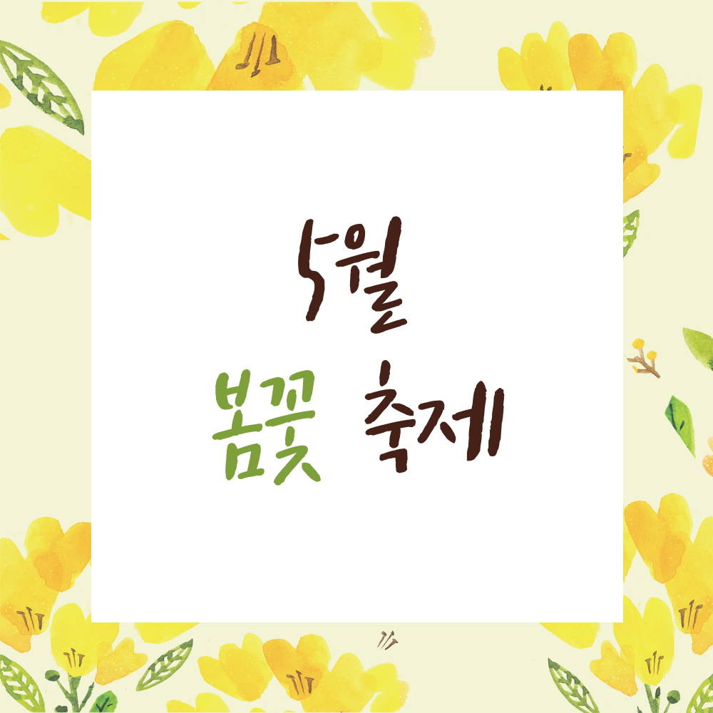  2024년 지역별 5월 꽃축제 꽃놀이 봄꽃 축제 명소 유채꽃 철쭉