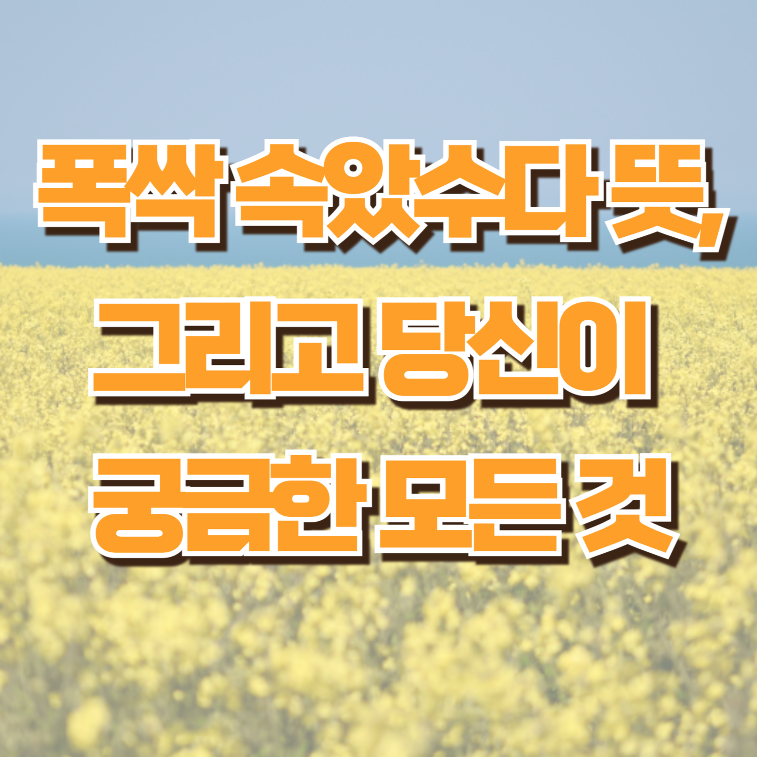 폭싹 속았수다 당신이 궁금한 모든것