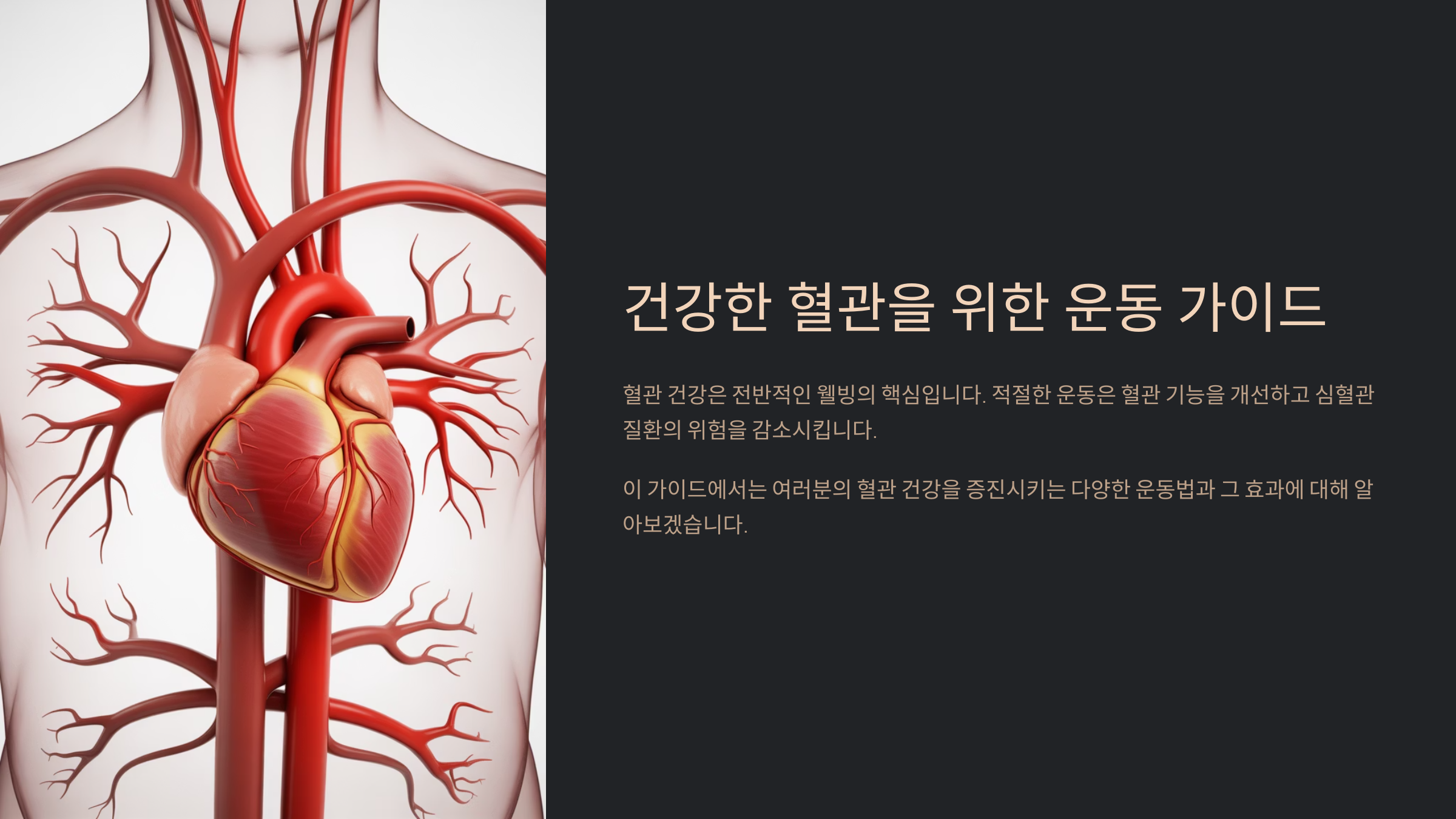 건강한 혈관을 위한 운동 가이드