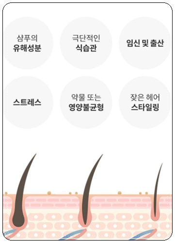 출처:네이버