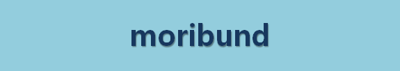  뉴스로 영어 공부하기: moribund (빈사상태의)