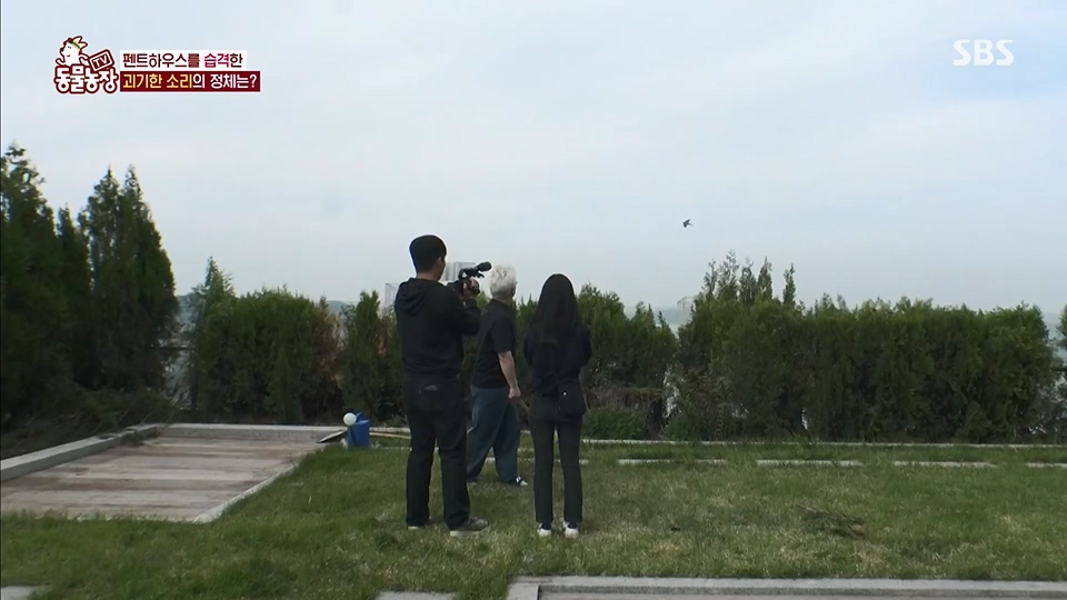 TV 동물농장.E1125.230618p.H264-F1RST.mp4_20230618_192109.941.jpg