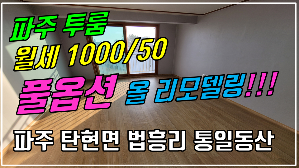  파주 탄현면 법흥리투룸/통일동산투룸/신세계첼시아울렛투룸/성동리투룸/프로방스투룸/헤이리 투룸 월세 1000/50만 조망좋고 햇빛 잘드는 남향집 2층 올수리한 최신형 새제품 풀옵션 넓은 투룸