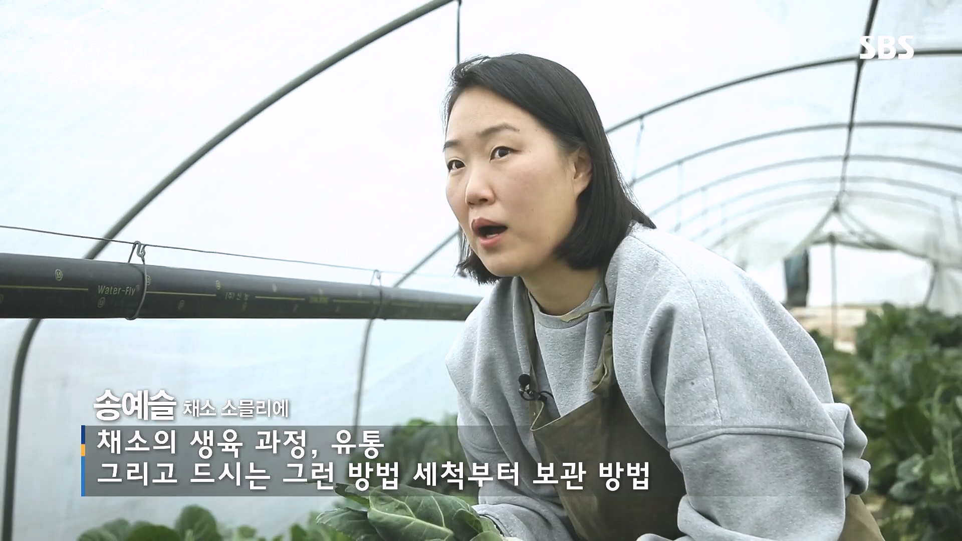 일요 특선 다큐멘터리.E335.240107p.H264-F1RST.mp4_20240108_202706.258.jpg