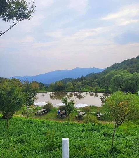 대새목장